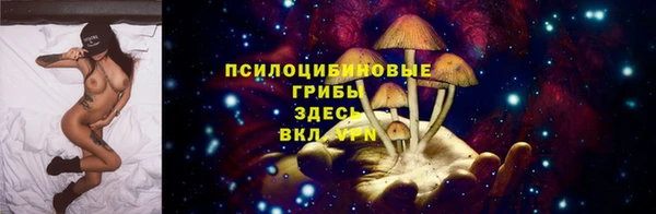 ALPHA-PVP Снежногорск