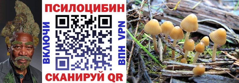Галлюциногенные грибы мухоморы  Тобольск 
