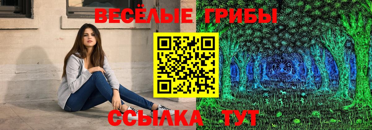 Галлюциногенные грибы Psilocybe  Вход с VPN  Псилоцибиновые грибы GOLDEN TEACHER  Тобольск 